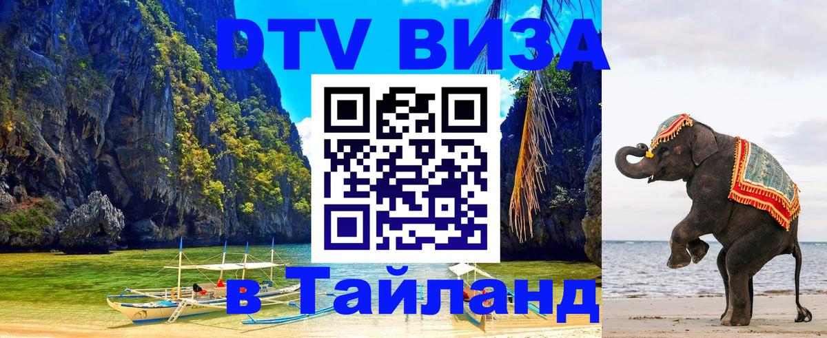 Оформление DTV визы под ключ: стоимость и тарифы, только загранпаспорт - 